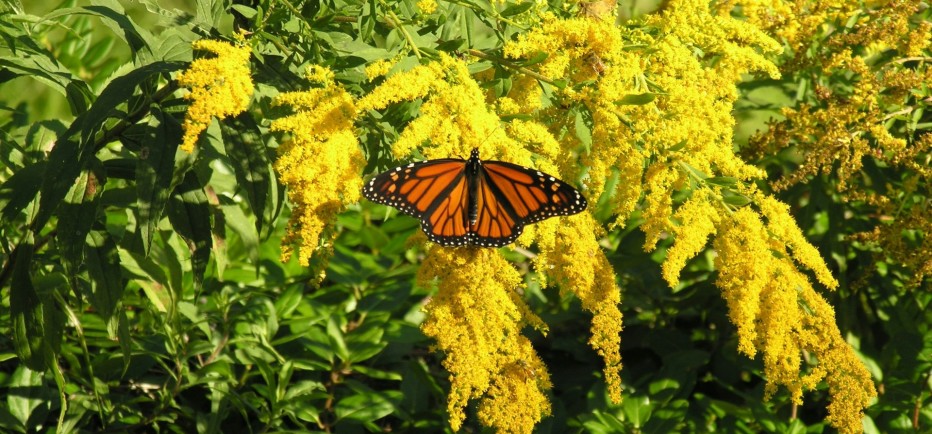 Καλώς ήρθες Άνοιξη! Τι είναι η Εαρινή Ισημερία