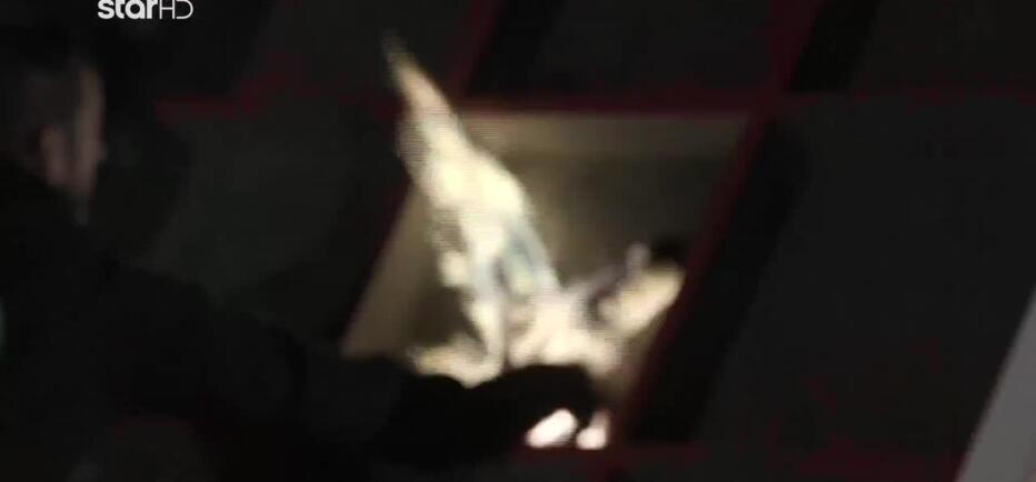 Φάρμα: Τι Περιλαμβάνει Η Δοκιμασία Διπλής Ασυλίας;