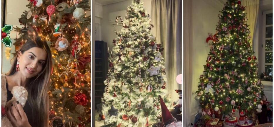 Το συμβολικό στολίδι που έχουν επώνυμες στα χριστουγεννιάτικα δέντρα τους