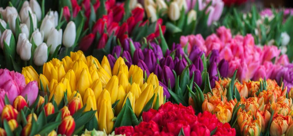 Εορτολόγιο: Ποιοι γιορτάζουν στις 3 Μαρτίου