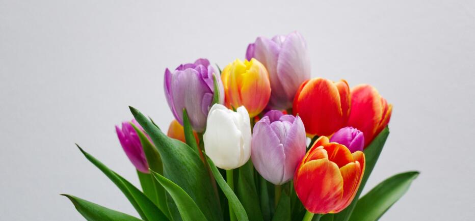 Εορτολόγιο: Ποιοι γιορτάζουν στις 9 Μαρτίου