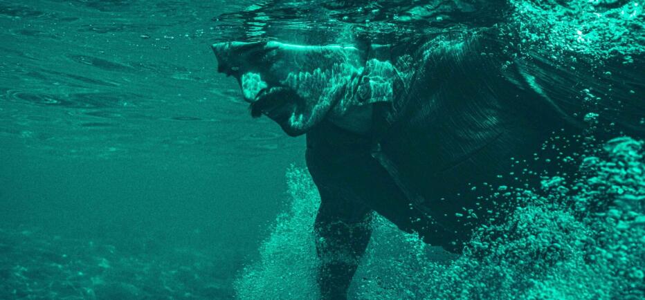 Η Φώκια - Είδαμε την παράσταση με τον Βλάση Πασιούδη στο Θέατρο Άβατον