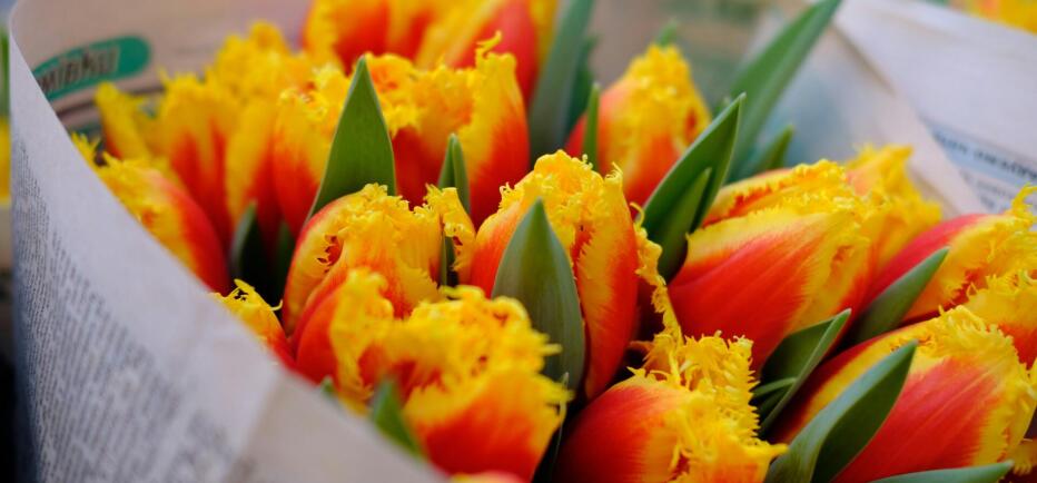 Εορτολόγιο: Ποιοι γιορτάζουν στις 12 Μαρτίου