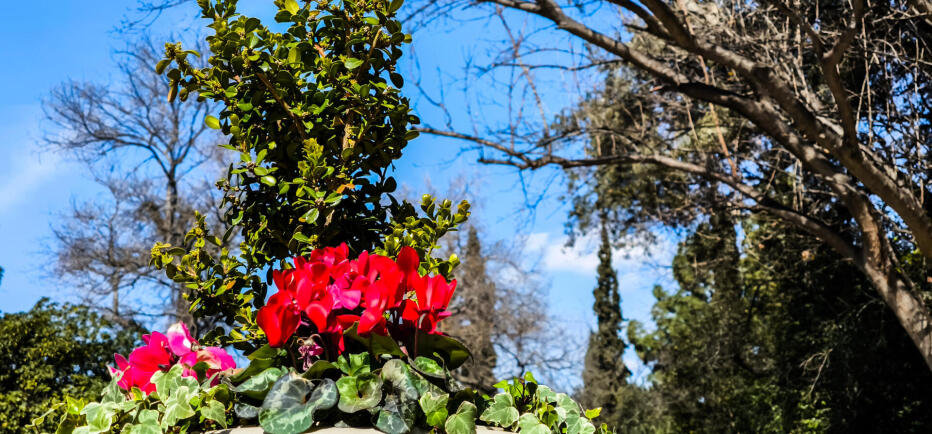 Καιρός: Άνοιξη μέχρι τη Δευτέρα - Πότε αλλάζει ο καιρός