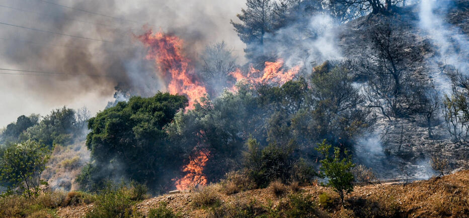 Φωτιά τώρα στην Κεφαλονιά: Ισχυρές δυνάμεις στο σημείο