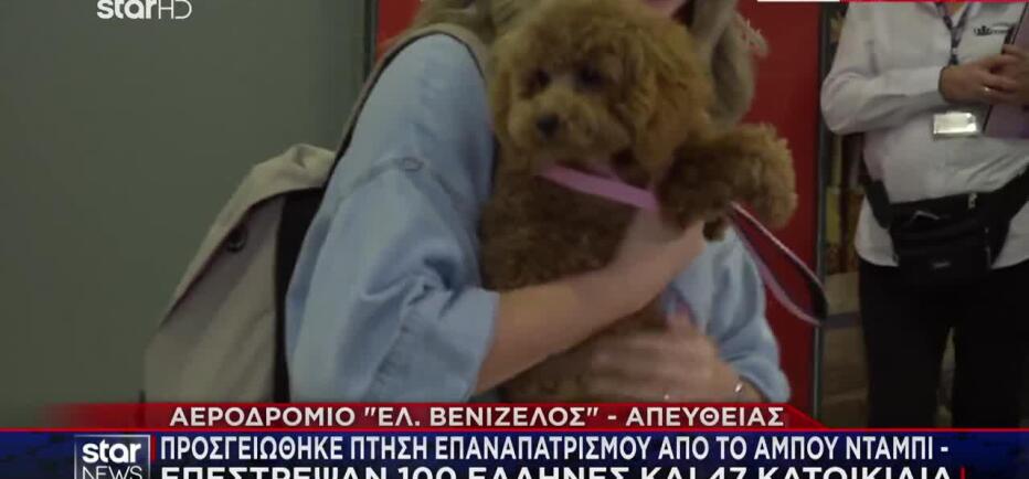 Επαναπατρίστηκαν από το Άμπου Ντάμπι Έλληνες με τα κατοικίδιά τους