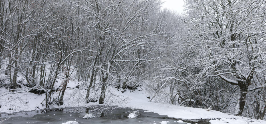 Καιρός: Ξεκινά η σιβηρική εισβολή, φέρνοντας κρύο και χιόνια