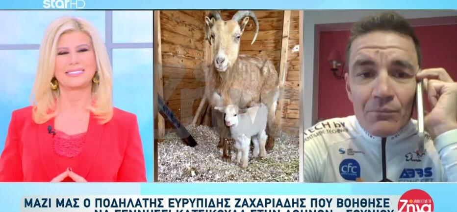 Ποδηλάτης Βοήθησε Κατσικούλα Να Γεννήσει Στην Αθηνών - Σουνίου