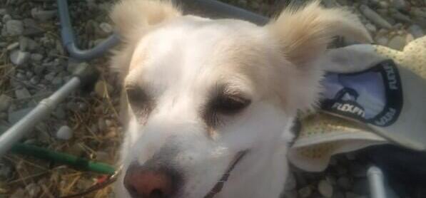 Η Σπίθα μου: Μια αγάπη χωρίς όρους και όρια!