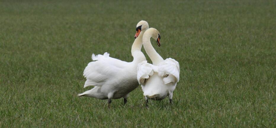 Ερωτικές προβλέψεις εβδομάδας 30/03/2026 – 05/04/2026