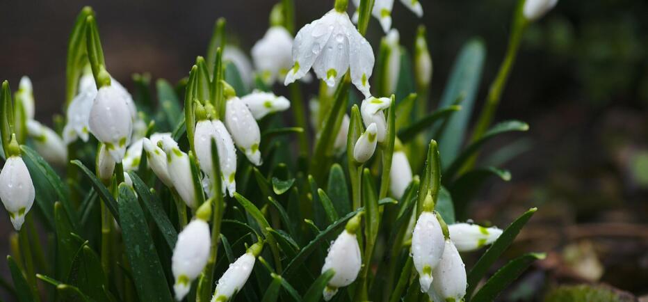 Εορτολόγιο: Ποιοι γιορτάζουν στις 5 Aπριλίου