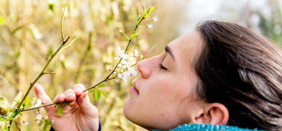 Άνοιξη: Αλλεργίες και άσθμα; Όσα πρέπει να γνωρίζετε