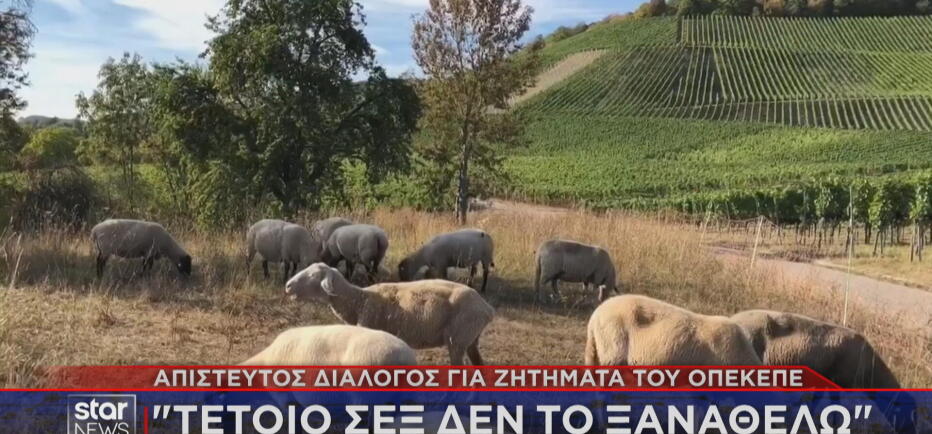 Και «ερωτικοί» διάλογοι -  φωτιά για τον ΟΠΕΚΕΠΕ!