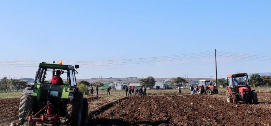 Πληρωμές 202 εκατ. ευρώ από την ΑΑΔΕ σε 128.000 αγρότες