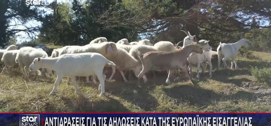 Επίθεση ΠΑΣΟΚ στην κυβέρνηση για τη δήλωση Άδωνι