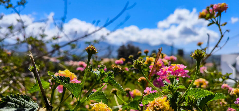 Καιρός: Σχεδόν αίθριος σε όλη τη χώρα- Υποχωρούν σκόνη και βοριάδες