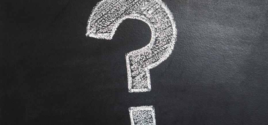 Ποια διάσημη Ελληνίδα συναντήθηκε με πιγκουίνους;