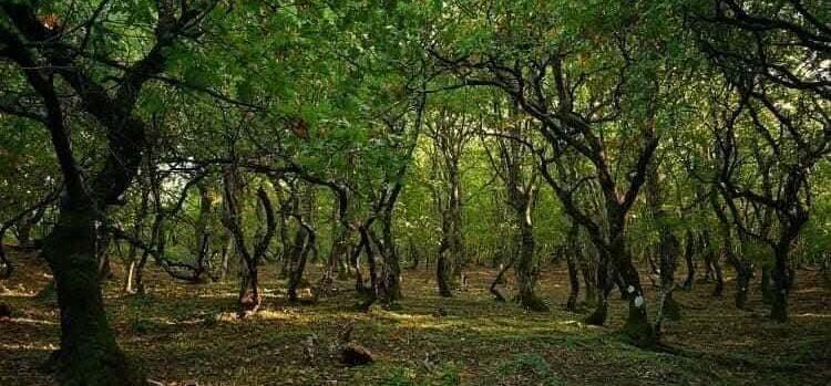 Ένας διαφορετικός αγώνας δρόμου στα βουνά της Στερεάς Ελλάδας, με ...δώρα