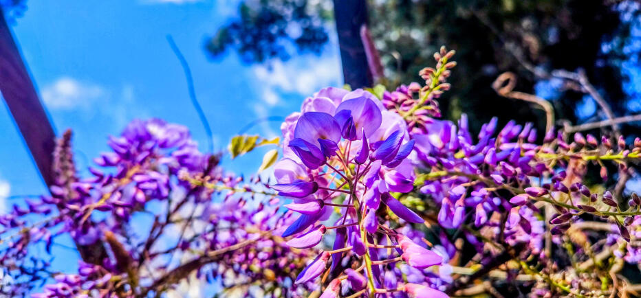 Αλλάζει ο καιρός: «Ψυχρή εισβολή» την Πρωτομαγιά  - Πέφτει η θερμοκρασία