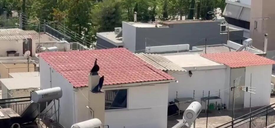 Περιστέρι: Τα έξι παιδιά ζούσαν σε 27 τ.μ μέσα σε ακαθαρσίες και σκουπίδια