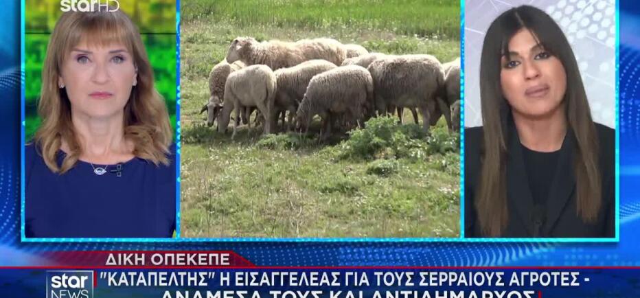 Δίκη ΟΠΕΚΕΠΕ: Καταπέλτης η εισαγγελέας για τους Σερραίους αγρότες