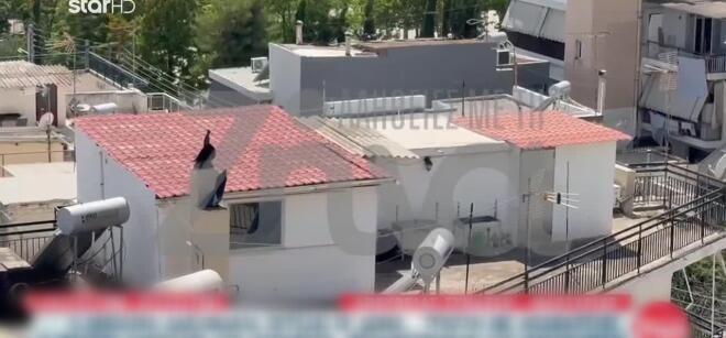 Περιστέρι: «Τα δύο κοριτσάκια, 8 και 9 ετών, φορούσαν πάνα στο σχολείο»