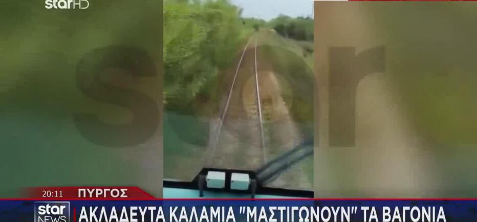Πύργος: Ακλάδευτα καλάμια «μαστιγώνουν» τα βαγόνια