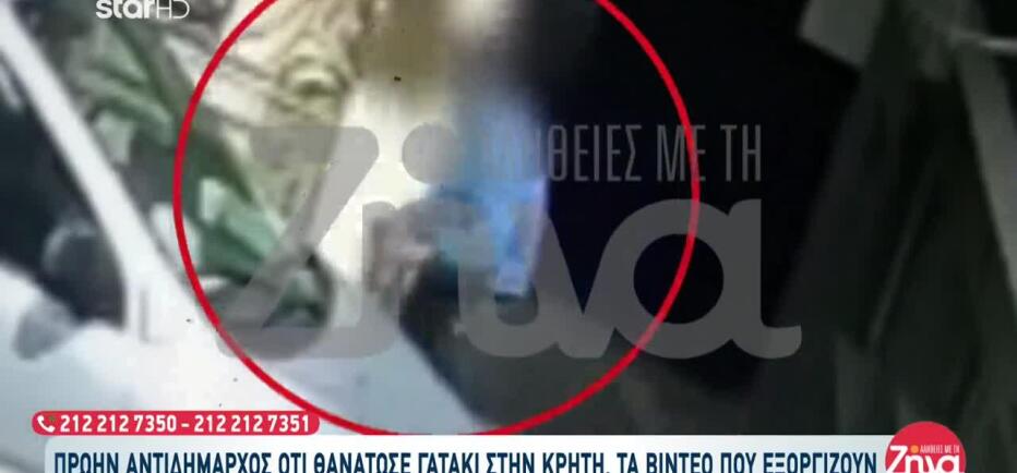 Κρήτη: Πρώην αντιδήμαρχος κατηγορείται ότι σκότωσε γατάκι