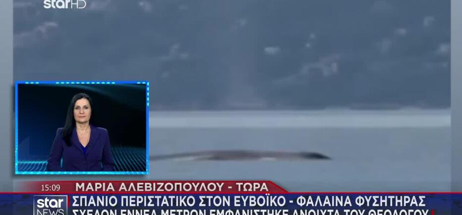 Φάλαινα φυσητήρας 9 μέτρων εμφανίστηκε τον Ευβοϊκό κόλπο