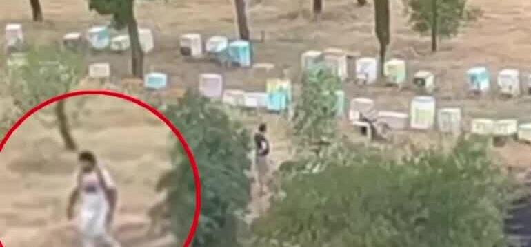 Φωτιά Άλσος Βεΐκου: Συνελήφθη μελισσοκόμος για την πυρκαγιά