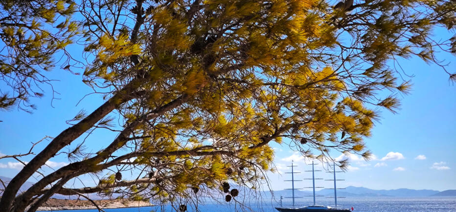 Καιρός: Σαββατοκύριακο με καλοκαιρινό σκηνικό- 35άρια σε Θεσσαλία & Στερεά