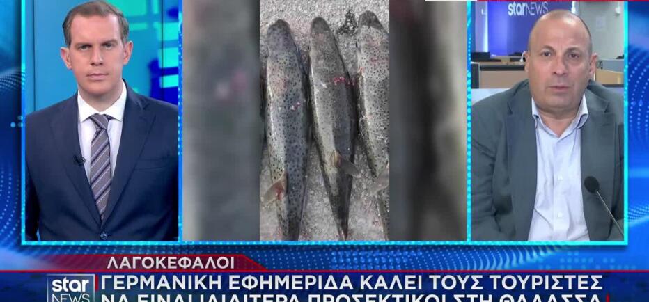 Λαγοκέφαλος: Ποια θα είναι η επιδότηση στους ψαράδες για την αλίευσή του