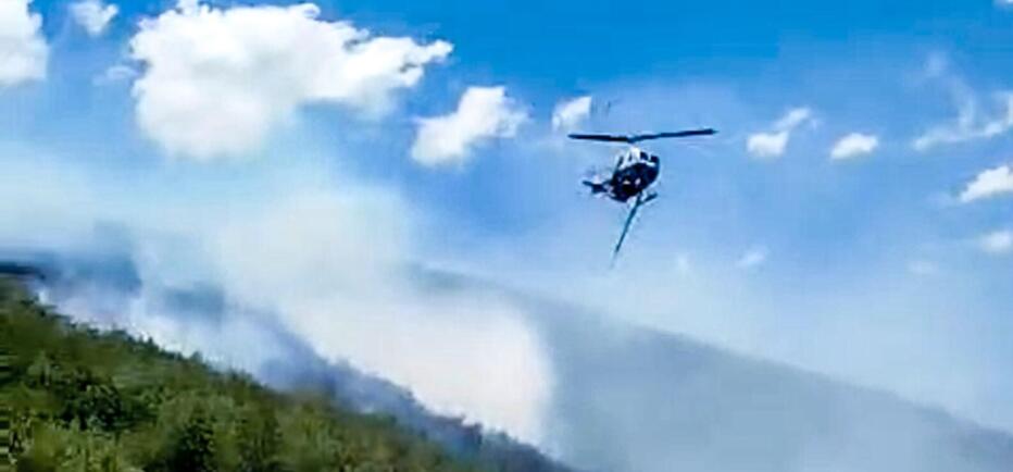 Φωτιά στη Βοιωτία: Μήνυμα του 112 για εκκένωση - Σηκώθηκαν εναέρια μέσα