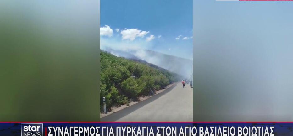 Φωτιά στη Βοιωτία: Μήνυμα του 112 για εκκένωση - Σηκώθηκαν εναέρια μέσα