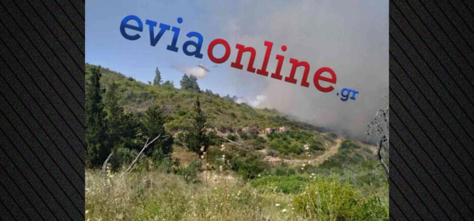 Φωτιά στην Εύβοια: Μεγάλη κινητοποίηση στο Σπαθάρι με 11 εναέρια