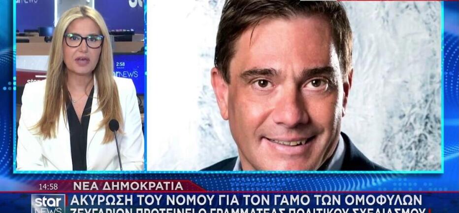 Γάμος ομόφυλων ζευγαριών: Ακύρωση ζητά ο Γραμματέας Π. Σχεδιασμού της ΝΔ