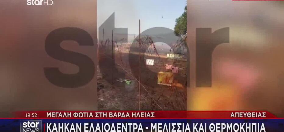 Φωτιά στη Βάρδα Ηλείας: Σηκώθηκαν 4 εναέρια μέσα