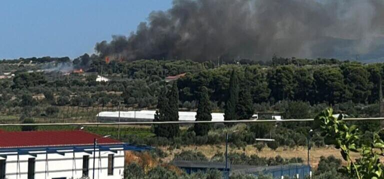 Σε ύφεση η φωτιά στα Εξαμίλια Κορινθίας