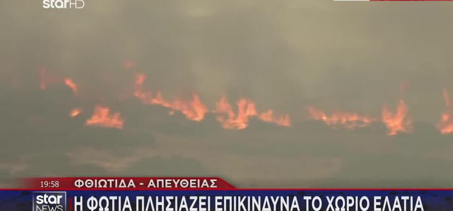 Φωτιά στη Φθιώτιδα: Εκκενώθηκαν χωριά - Στάχτη κτηνοτροφικές μονάδες