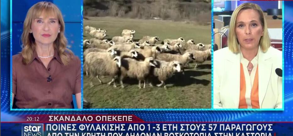 Σκάνδαλο ΟΠΕΚΕΠΕ: Φυλάκιση 1- 3 έτη σε 57 παραγωγούς από την Κρήτη