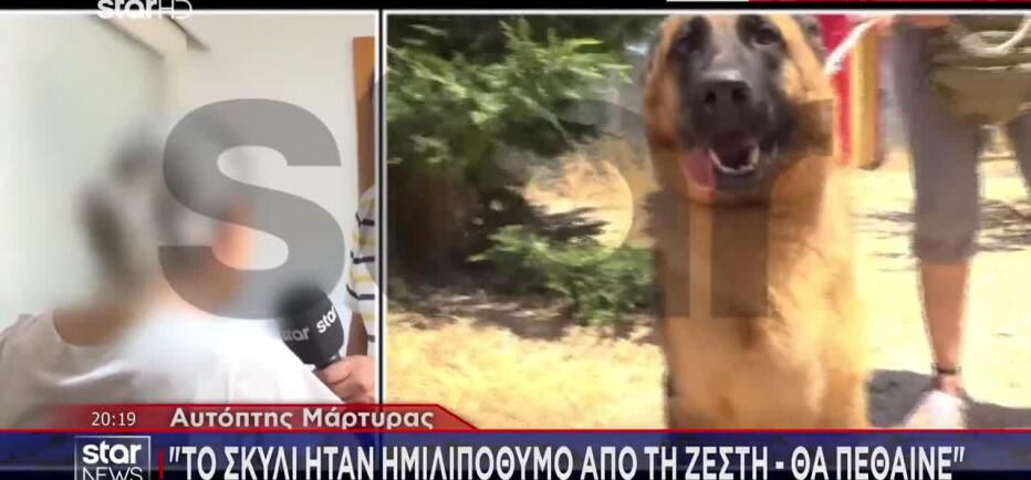 Βάρη: Αστυνομικοί Έσπασαν Τα Τζάμια Αυτοκινήτου Για Να Σώσουν Λυκόσκυλο