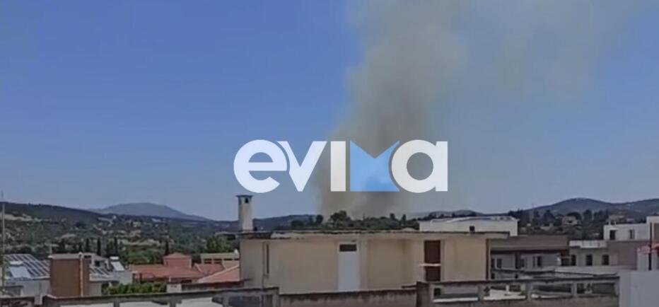 Φωτιά τώρα στο Αλιβέρι Εύβοιας - Κοντά στα σπίτια οι φλόγες