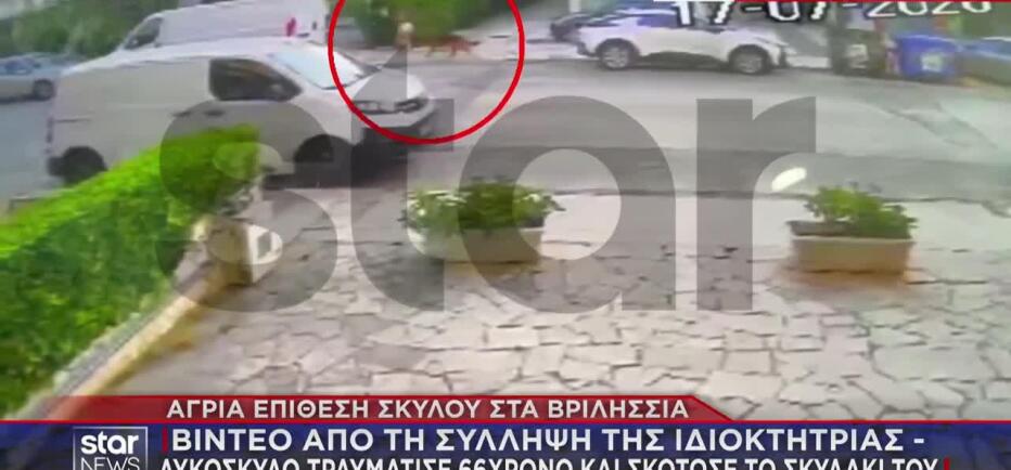 Βριλήσσια: Η στιγμή που απομακρύνουν τον σκύλο από το σημείο της επίθεσης