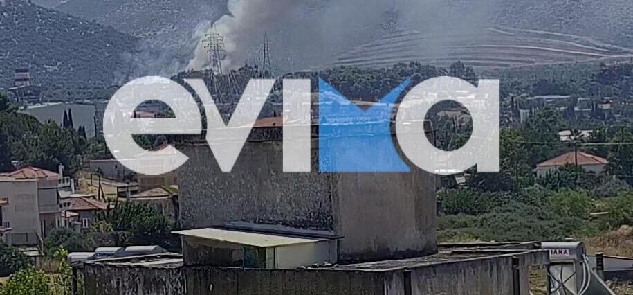 Φωτιά στο Αλιβέρι της Εύβοιας και μήνυμα από το 112