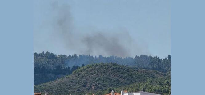 Φωτιά στη Μόλα Καλύβα Χαλκιδικής – Ισχυρές δυνάμεις στο σημείο