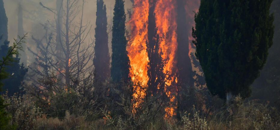 Δύο συλλήψεις για πυρκαγιές από αμέλεια σε Έβρο και Γρεβενά
