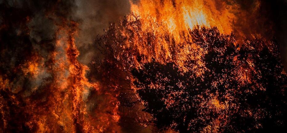 Πολύ υψηλός κίνδυνος πυρκαγιάς σε Αττική, Βοιωτία και Εύβοια αύριο Κυριακή