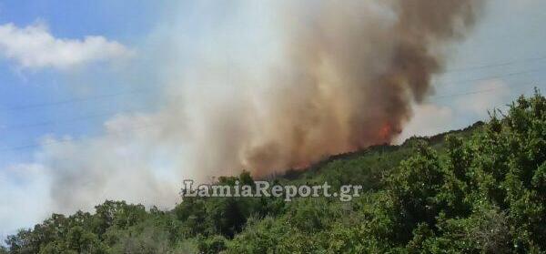 Επικίνδυνη φωτιά και στην Καμηλόβρυση Φθιώτιδας