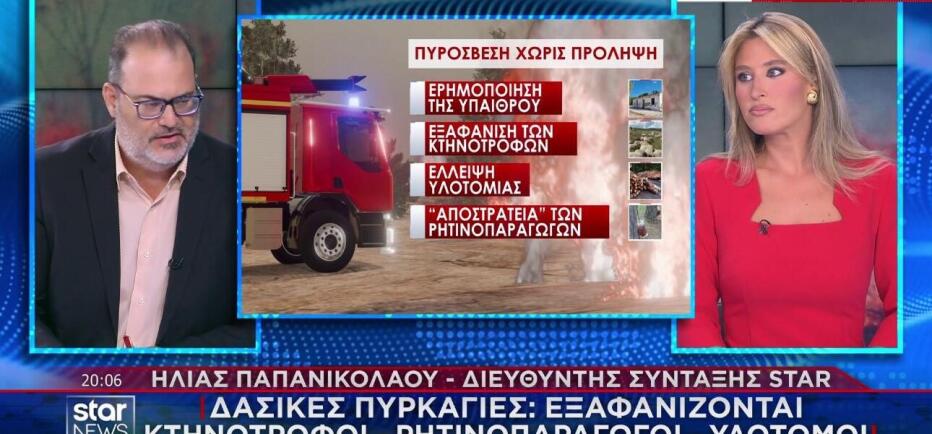 Πυρκαγιές: Η ερημοποίηση της περιφέρειας καίει τα δάση