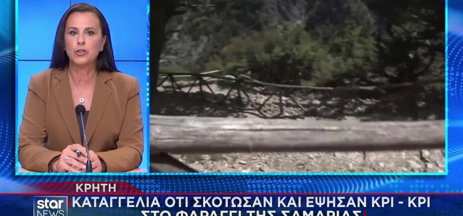 Σαμαριά: Kαταγγελία για θανάτωση και ψήσιμο κρι-κρι στο φαράγγι